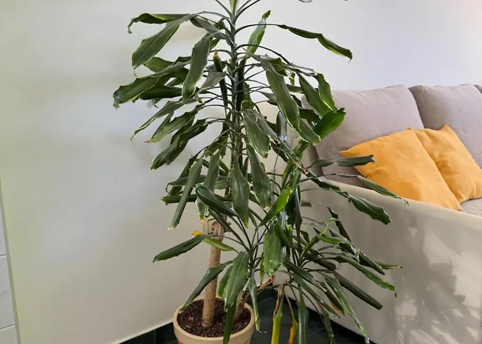 House Klarin Apartamento Jezera